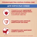 Сухой корм для собак Purina ONE для средних и крупных пород с ягненком и рисом 10кг
