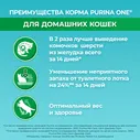 Корм сухой Purina One для взрослых кошек живущих в домашних условиях с индейкой и цельными злаками, 750г