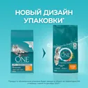 Корм сухой Purina One для взрослых кошек с курицей, 9.75кг