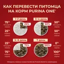 Корм сухой Purina One для взрослых собак средних и крупных пород с говядиной и рисом, 10кг