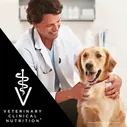 PRO PLAN® Veterinary Diets Purina Veterinary Diets HP Hepatic Сухой диетический корм для щенков и взрослых собак при хронической печеночной недостаточности, 3 кг