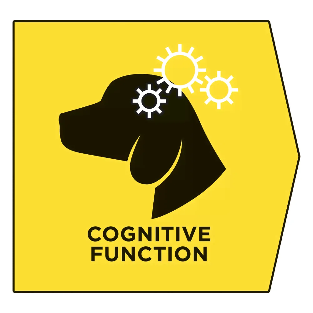 PRO PLAN® Veterinary Diets Purina NC NeuroCare Сухой диетический корм для пожилых собак для поддержания функции мозга, 3 кг-4