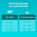 Сухой корм кошек Purina ONE полнорационный для стерилизованных с высоким содержанием лосося 3кг