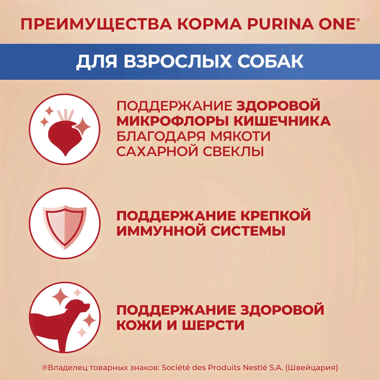 Корм сухой Purina One для взрослых собак средних и крупных пород с говядиной и рисом, 10кг