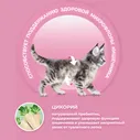Сухой корм для котят Purina ONE с курицей 200г