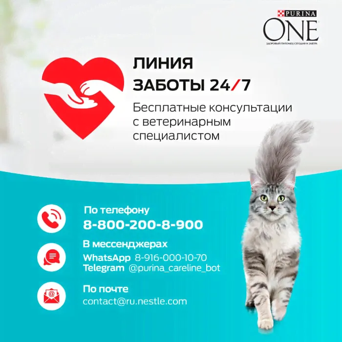 Сухой корм кошек Purina ONE полнорационный для стерилизованных с высоким содержанием лосося 3кг-2