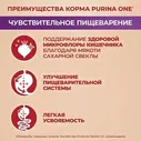 Сухой корм для взрослых собак мелких пород Purina ONE Мини Чувствительная, с чувствительным пищеварением, с лососем и рисом