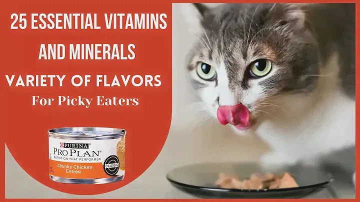 Purina Pro Plan Wet Cat Food - Support Your Cat's Healthy Immune System