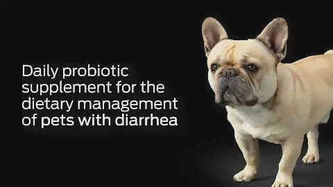Purina Forti Flora Probiotics for Dogs