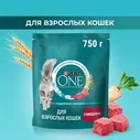Сухой корм для кошек Purina ONE, с говядиной с цельными злаками, 750 г