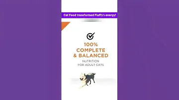 Cat Approved! Why Purina Pro Plan is the Best Wet Food Ever! 🍖🐱 #catshorts #catlovers #catvideo