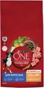 Сухой корм для собак Purina ONE для средних и крупных пород с курицей и рисом 10кг