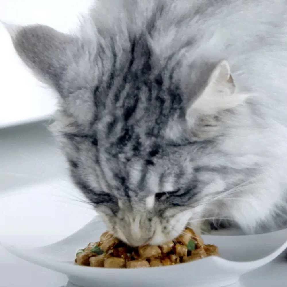 Корм влажный Purina One для взрослых кошек с говядиной и морковью, 75г-0