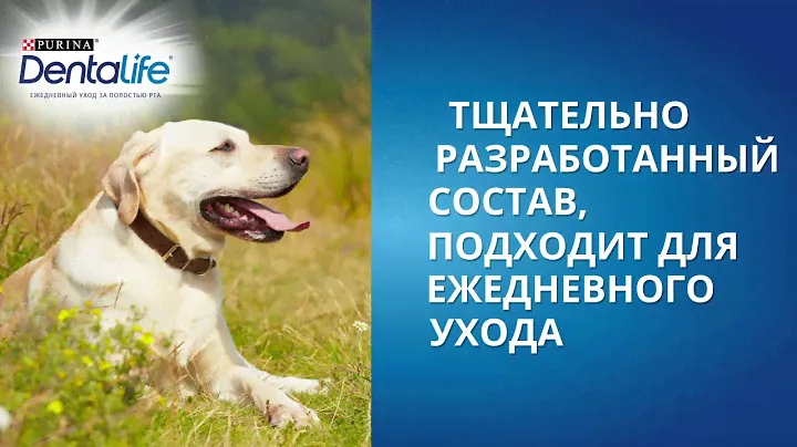 Лакомства DentaLife (ДентаЛайф)