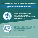 Сухой корм для кошек Purina ONE Природа здоровья с индейкой 680г