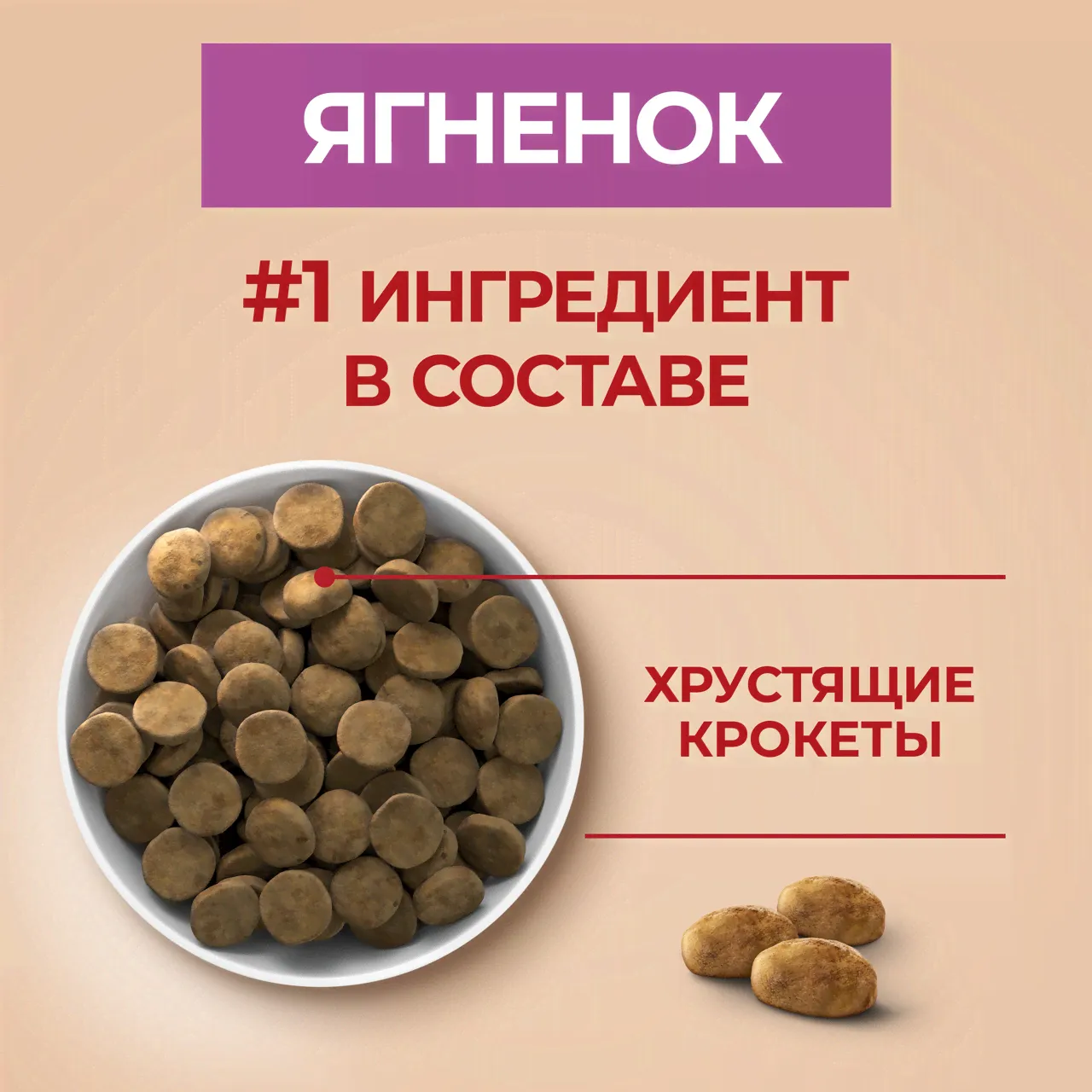 Сухой корм для собак Purina ONE для средних и крупных пород с ягненком и рисом 10кг-2