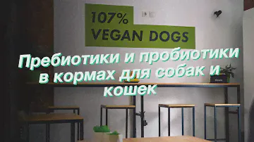 Пребиотики и пробиотики в кормах для собак и кошек