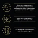 Сухой корм для котят Purina Pro Plan Optistart Original Kitten с курицей 3кг