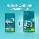 Purina ONE Сухой корм для взрослых домашних кошек, с индейкой и цельными злаками, 9,75 кг