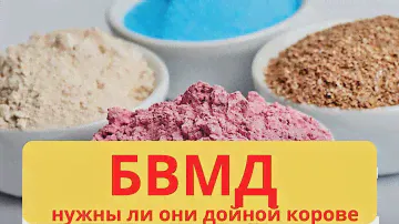 Что такое БМВД для коров?