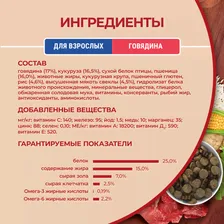 Корм сухой Purina One для взрослых собак средних и крупных пород с говядиной и рисом, 10кг
