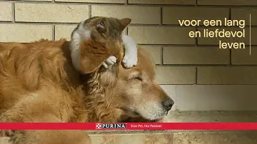Purina Obesity Management voor een fitte hond en kat