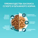 Сухой корм кошек Purina ONE полнорационный для стерилизованных с высоким содержанием лосося 3кг