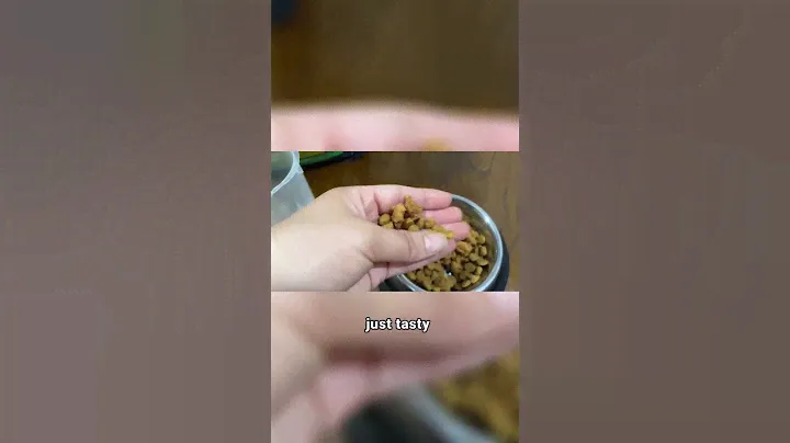 Purina Pro Plan Small Breed Weight Management Dog Food Shredded Blend Chicken & Rice Formula Review