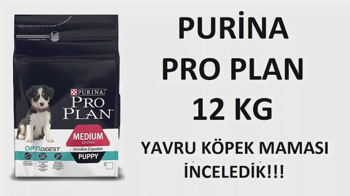 PRO PLAN Yavru Köpek Maması İncelemesi 12 KG / İnternetteki En Ucuz Fiyatı Bulduk!!!