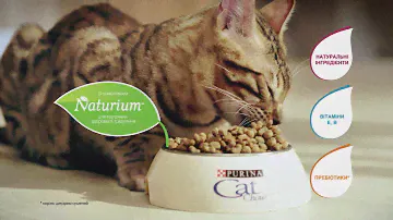 Purina Cat Chow® Ukraine