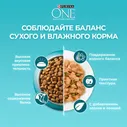 Сухой корм для кошек Purina ONE для чувствительного пищеварения с индейкой 750г