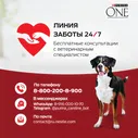 Сухой корм для собак Purina ONE для средних и крупных пород с курицей и рисом 3.8кг