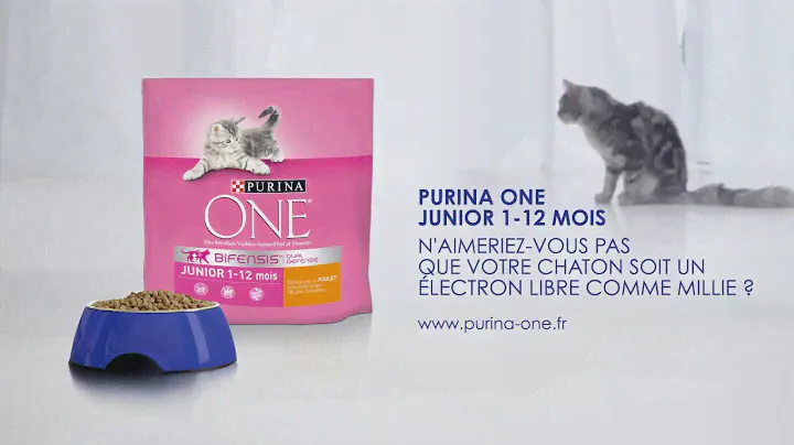 Purina One chat junior - Millie