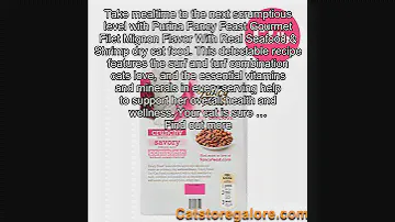 Purina Fancy Feast Filet Mignon Flavor With Real Seafood & Shrimp Dry Cat Food - 12 lb. Bag