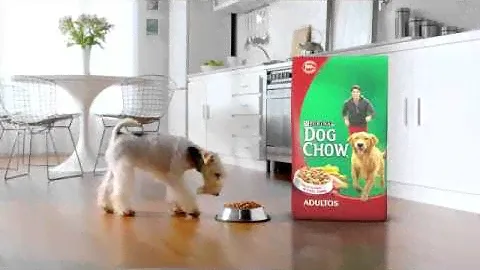 Purina Dog Chow
