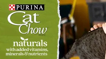 Purina Cat Chow Naturals Original Cat Kibble Review: A Wholesome Feast for Feline Friends
