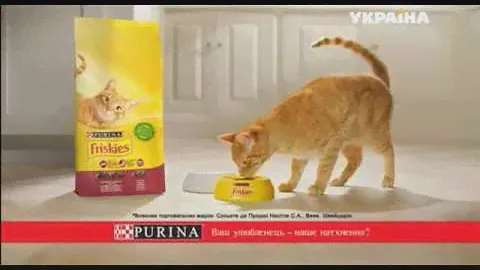 Реклама корма для котов Friskies (ТРК Украина, апрель 2019)
