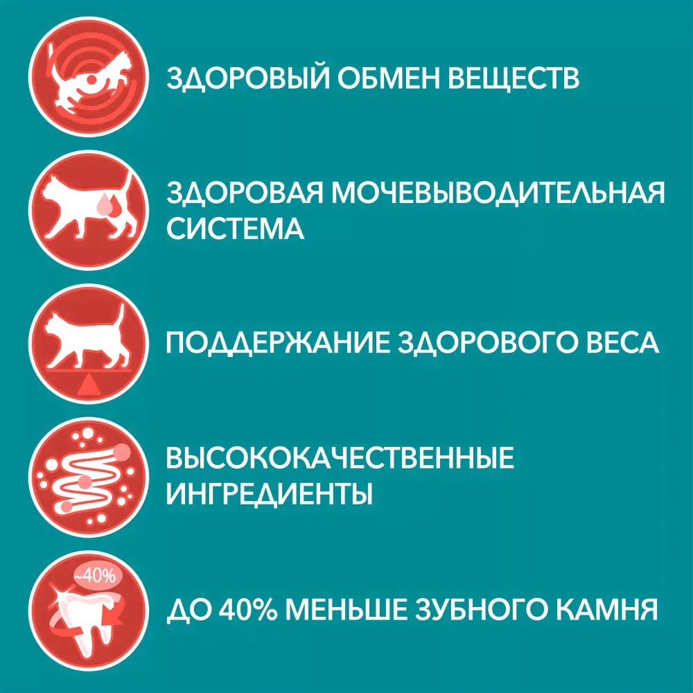 Purina ONE Sterilised Сухой корм для взрослых стерилизованных кошек и кастрированных котов, с говядиной и пшеницей, 3 кг