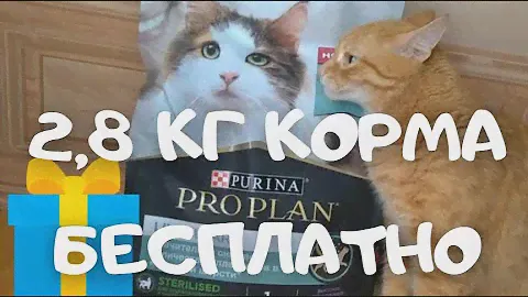 2,8 КГ КОРМА БЕСПЛАТНО. РОЗЫГРЫШ ОТ PURINA. ИДЕМ ЗА ПРИЗОМ НА ПОЧТУ. ЧЕСТНЫЙ ОТЗЫВ.
