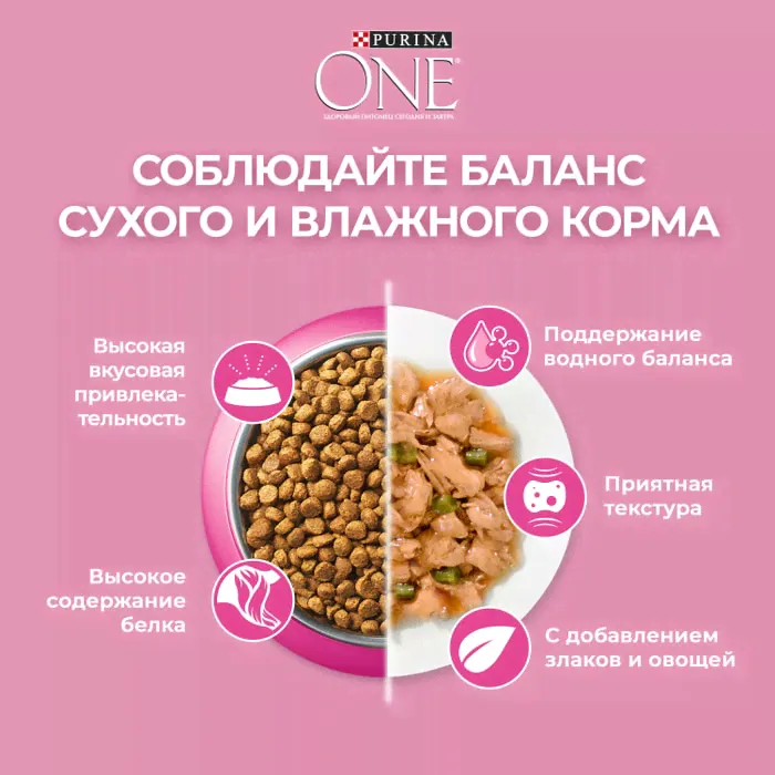 Сухой корм для котят Purina ONE с курицей 200г-1
