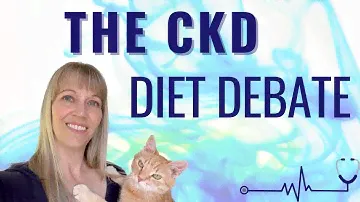 Are Prescription Diets the Best Choice for Cats with Kidney Disease?