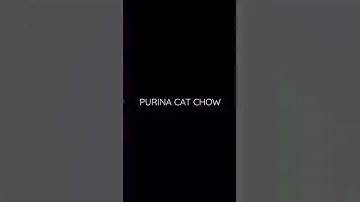PURINA CAT CHOW