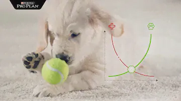 ProPlan с комлексом Optistar