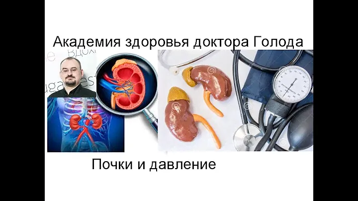 Почки и повышение артериального давления