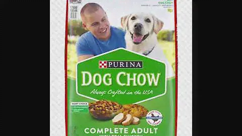 Purina Dog Chow Dry Dog Food American