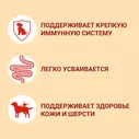 Влажный корм для собак Purina ONE для мелких пород старше 1 года с курицей морковью и зеленой фасолью в подливе 85г