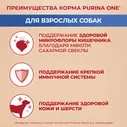 Purina ONE Adult Сухой корм для взрослых собак средних и крупных пород, с говядиной и рисом, 3,8 кг