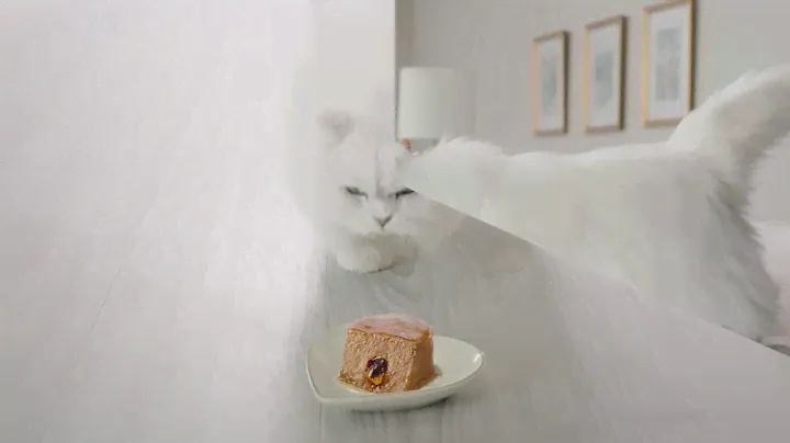 Try Fancy Feast Savory Centers Pate Wet Cat Food - Fancy Feast