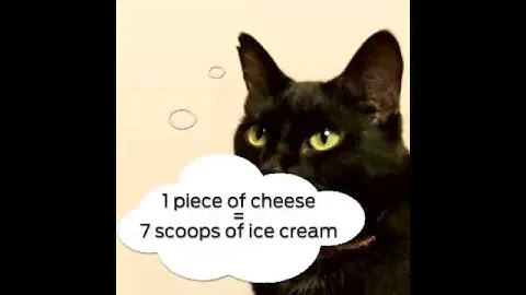 Human food watchouts for cats - Purina