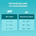 Корм сухой Purina One для взрослых кошек с курицей, 9.75кг